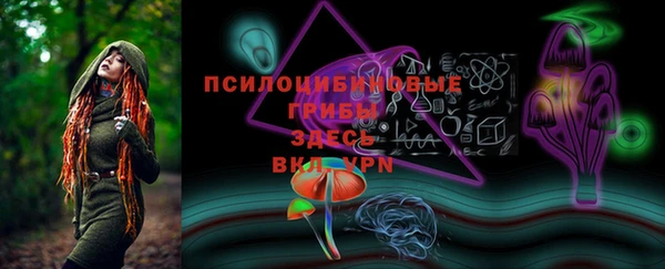 шишки Балахна