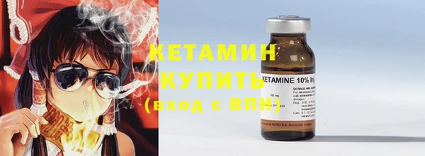 прущие грибы Снежногорск