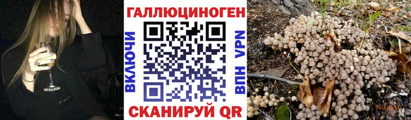Галлюциногенные грибы MAGIC MUSHROOMS  Кумертау 